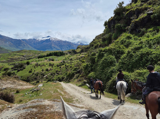 Wanaka Horse Trekking-瓦纳卡必去景点