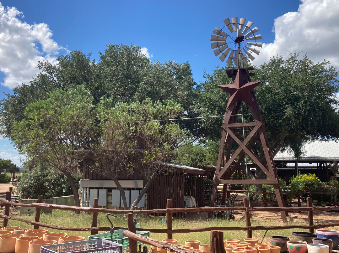 Wildseed Farms-弗雷德里克斯堡必去景点