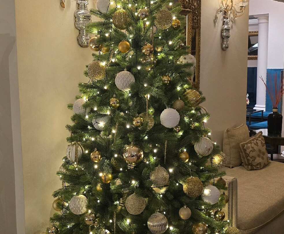 瓦努西酒店主图