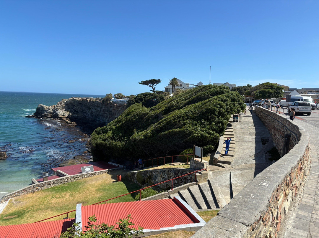 Hermanus Cliff Path-赫曼努斯必去景点