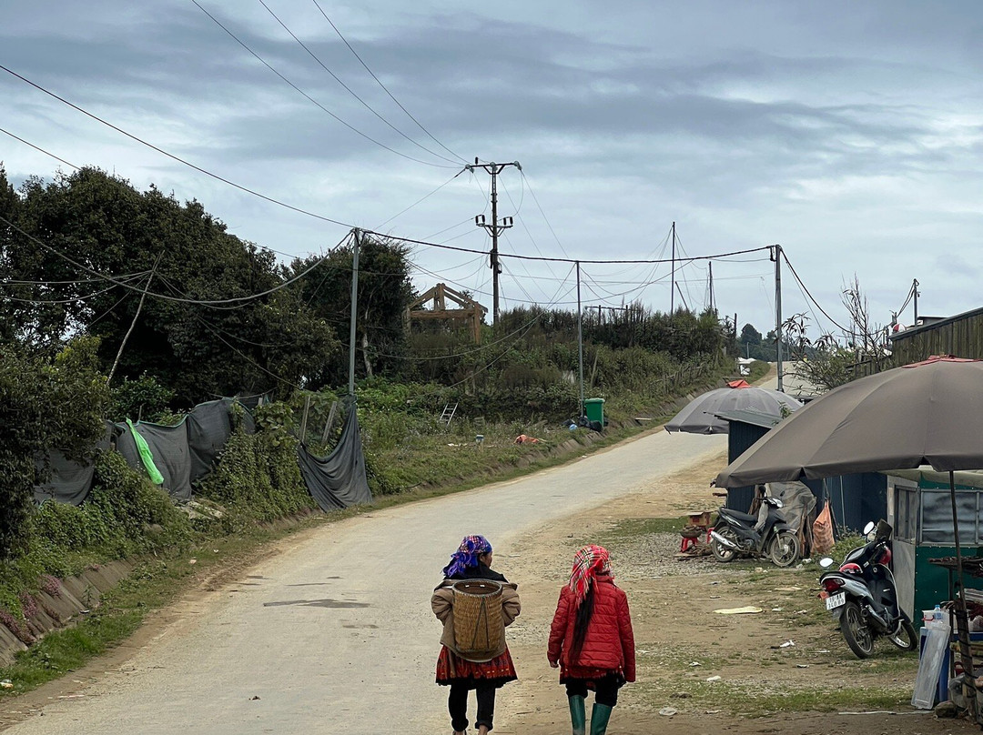 Ta Xua Peak-Son La必去景点