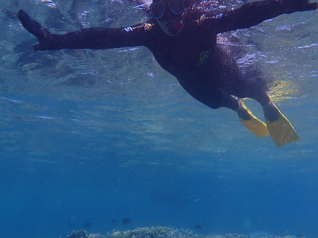 波长礁-道格拉斯港必去景点