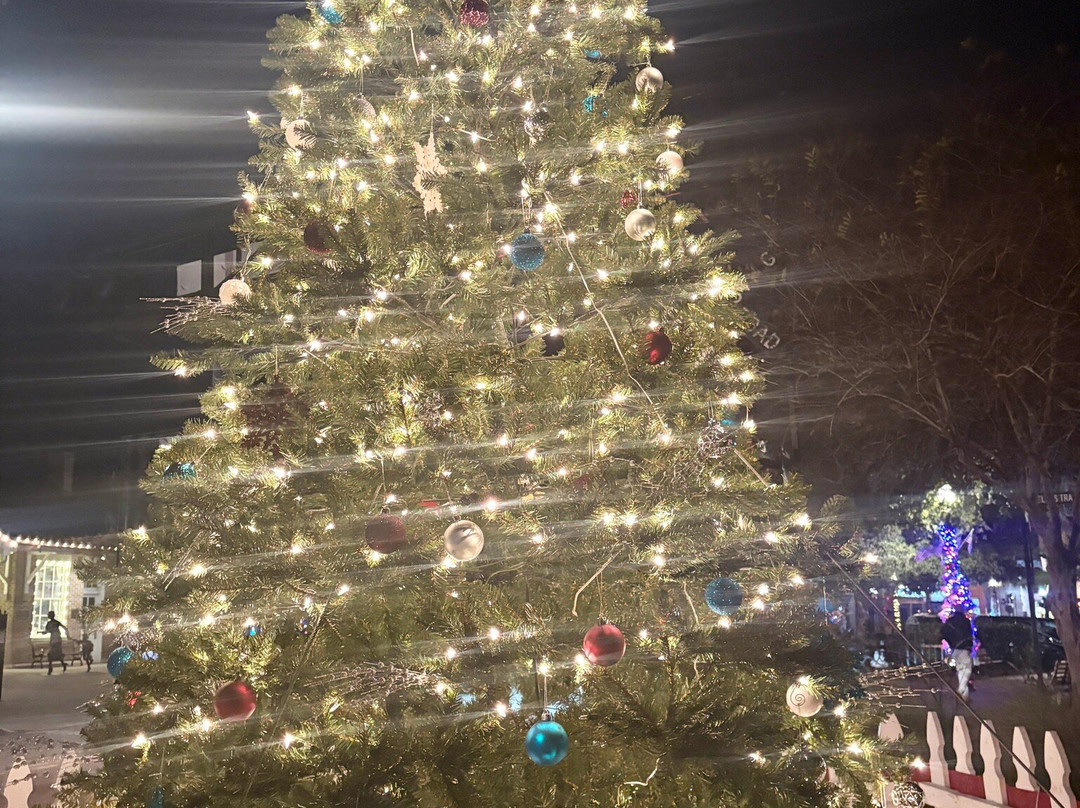 Dunedin Downtown Market-达尼丁必去景点