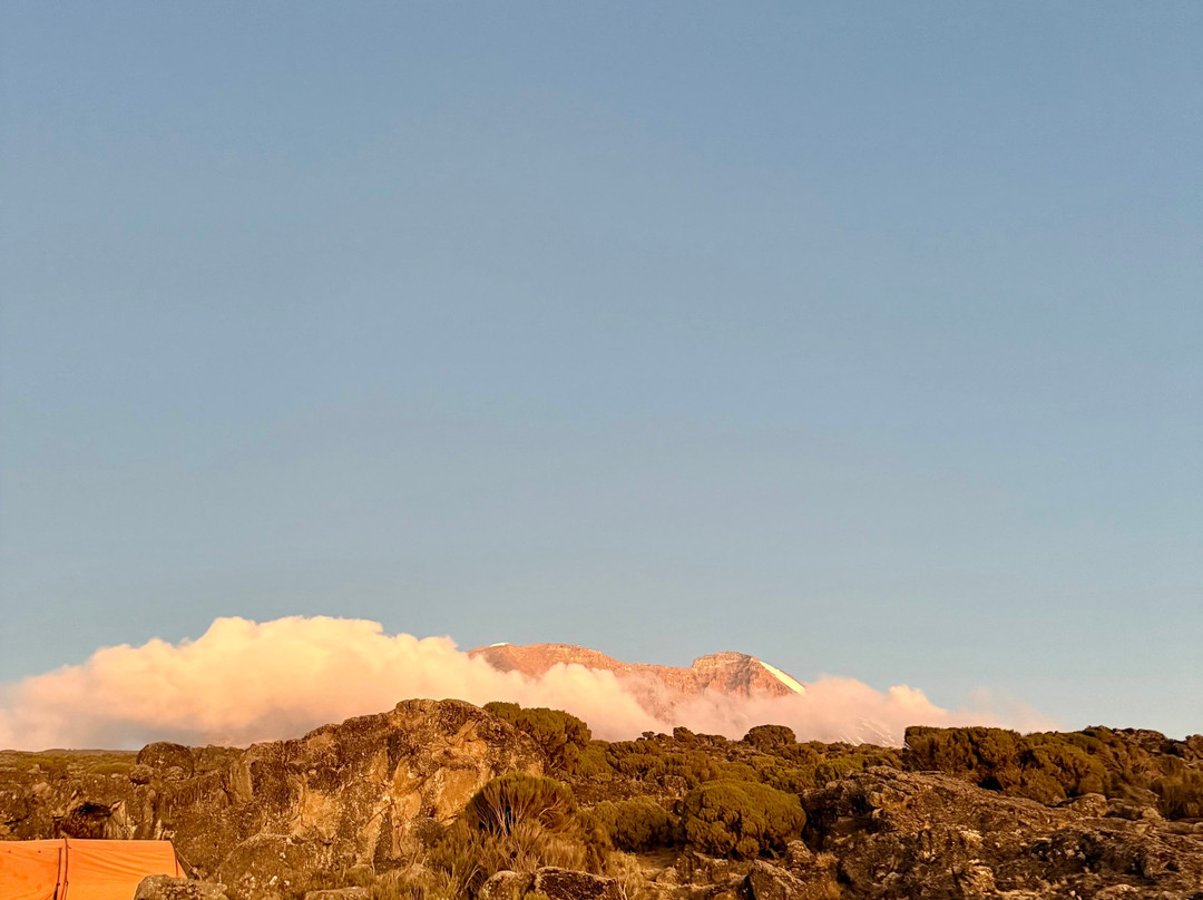 Local Moshi Adventures-莫西必去景点