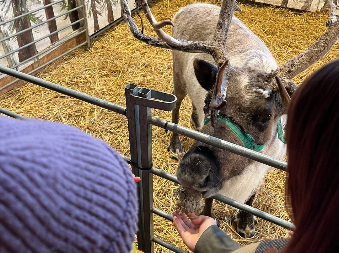 Windmill Farm Park-Kibworth Harcourt必去景点