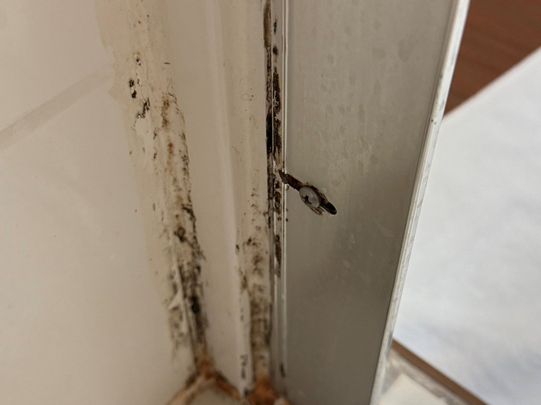 里奇蒙茵斯布鲁克希尔顿花园酒店主图