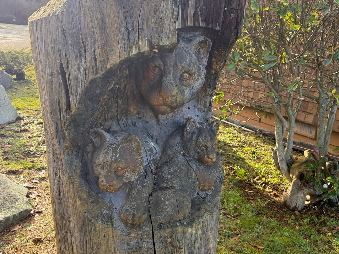 Oyster Bay Resorts主图