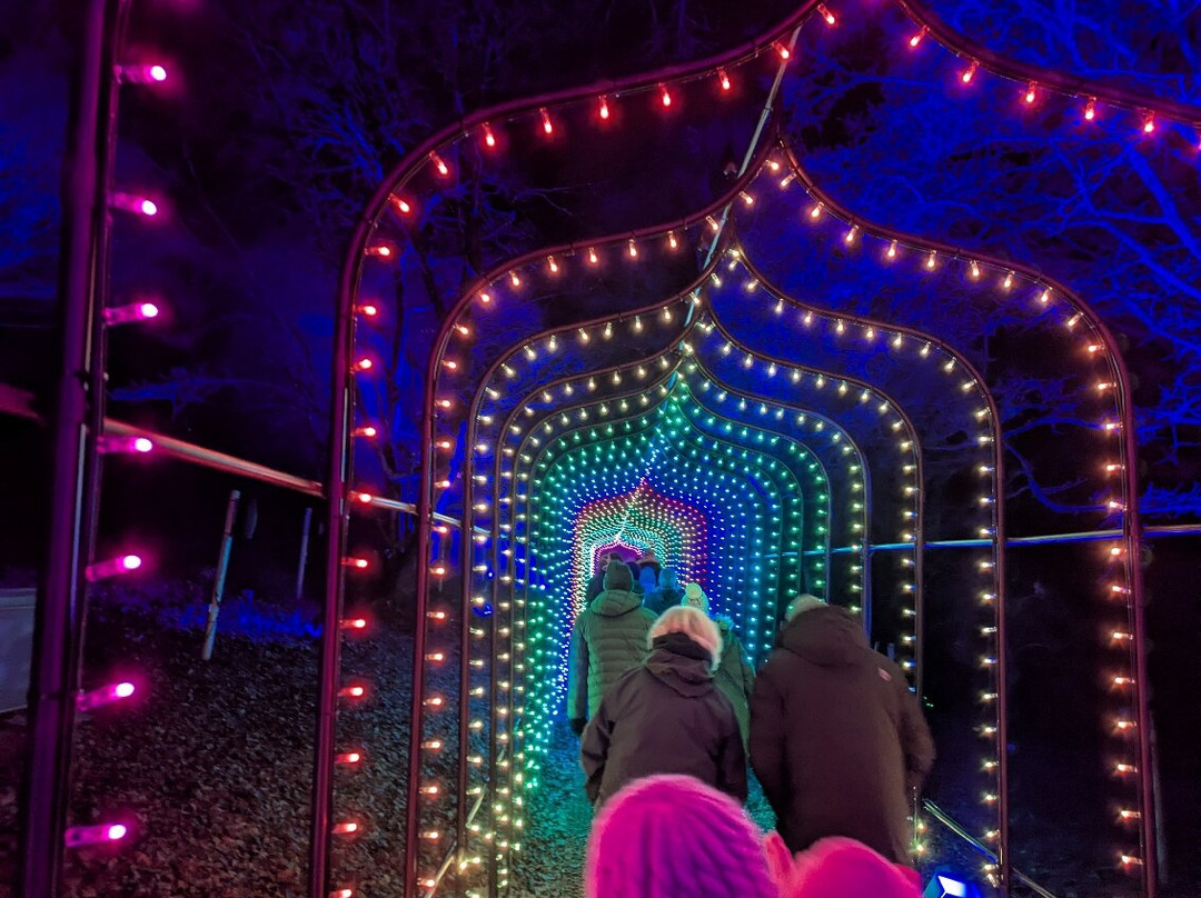 Leonardslee Illuminated-Lower Beeding必去景点