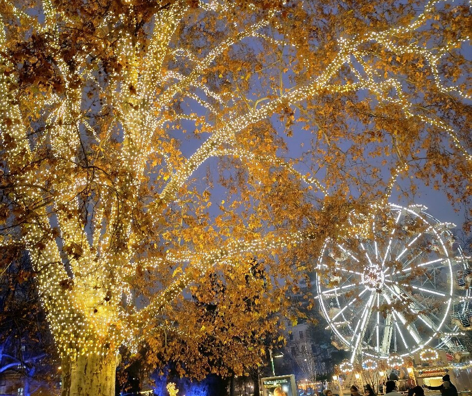 Wiener Christkindlmarkt-维也纳必去景点