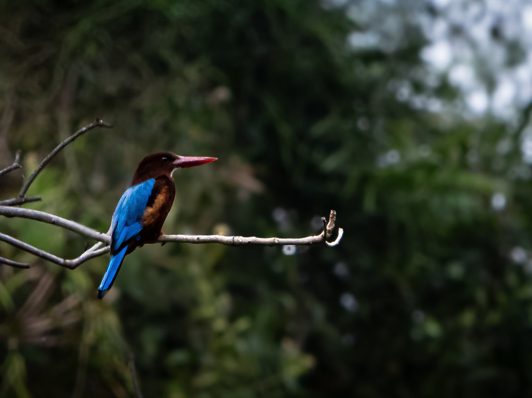 Mekong Experience Travel-芹苴必去景点