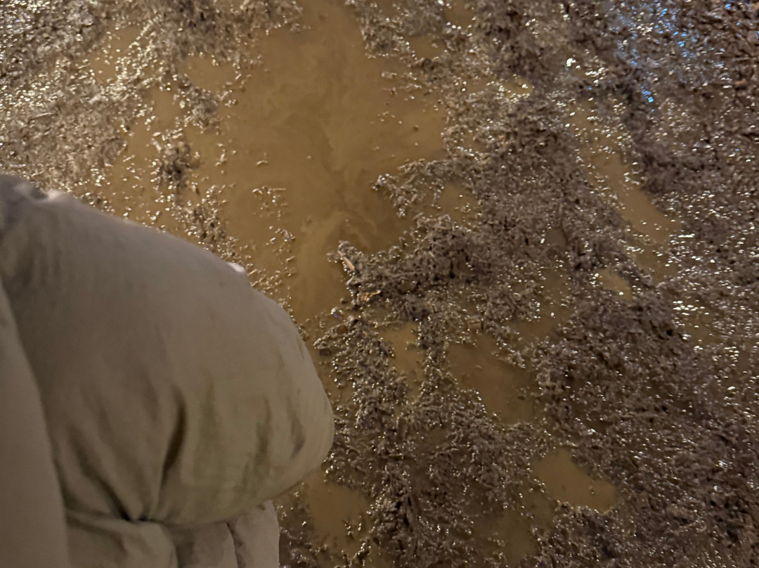 Audley End Miniature Railway-Saffron Walden必去景点