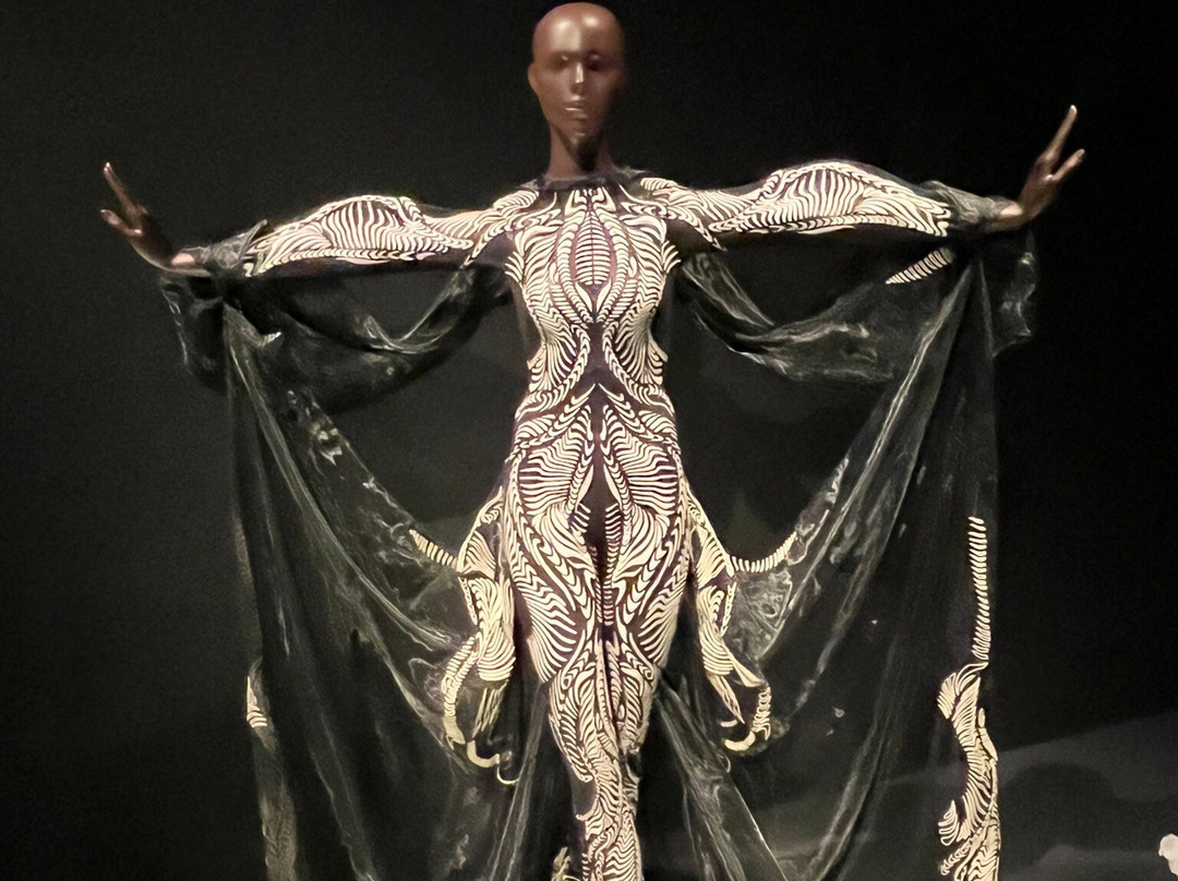 昆莎美术馆-鹿特丹必去景点