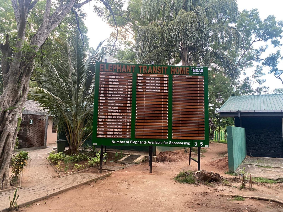 Elephant Transit Home (ETH)-乌达瓦拉维国家公园必去景点