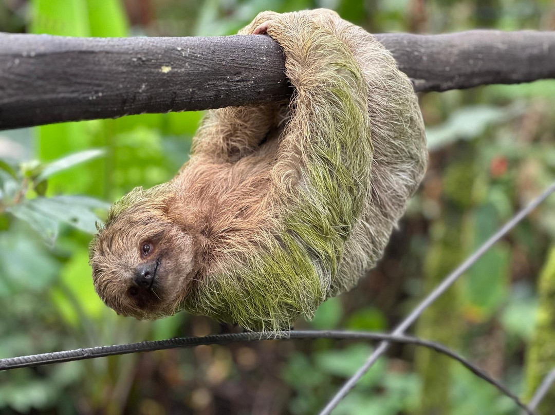Memo Adventures Pura Vida In Costa Rica-Playas del Coco必去景点