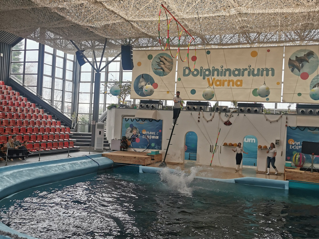 Dolphinarium-瓦尔纳必去景点