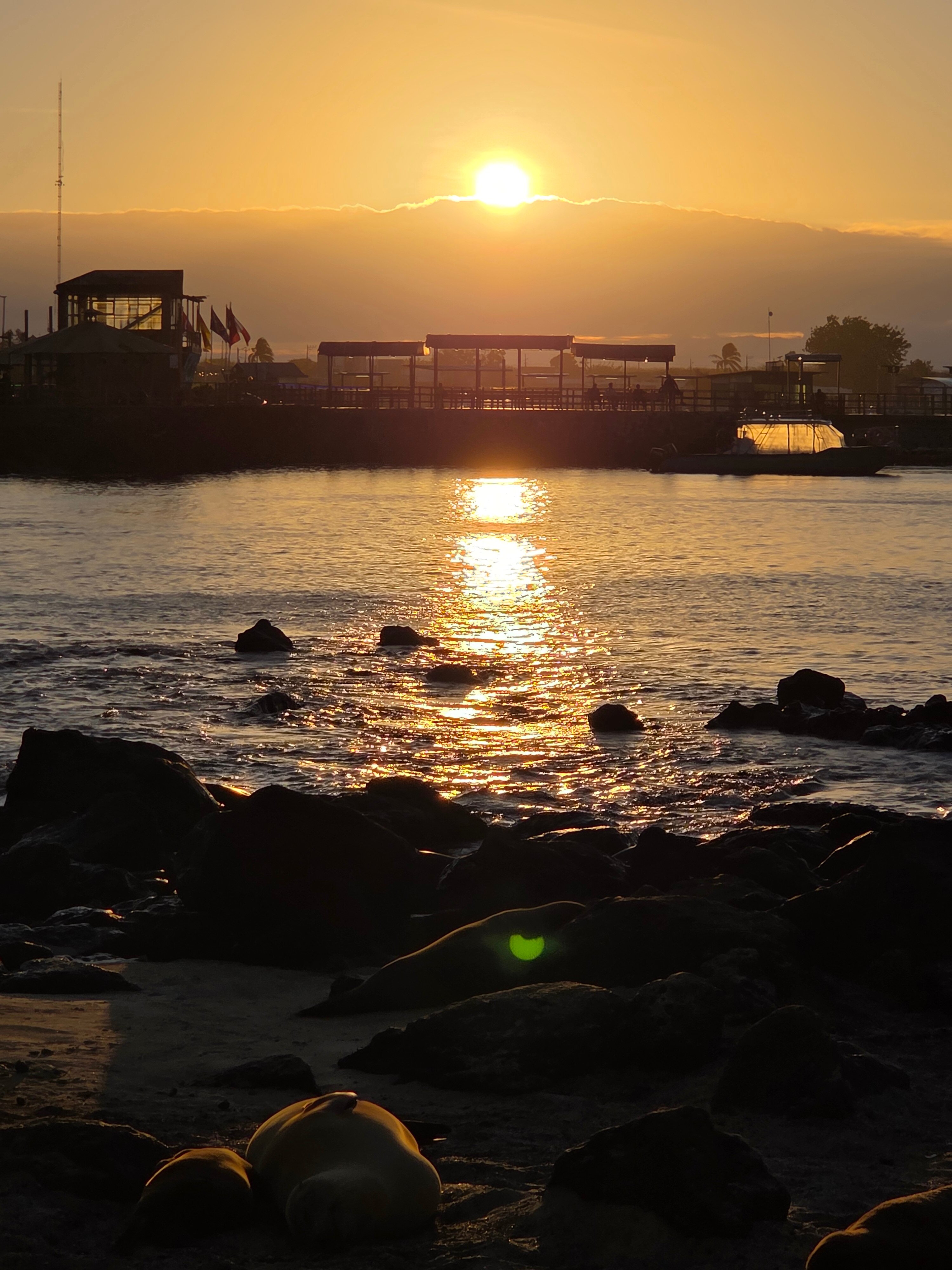 Hotel Indigo Galapagos by IHG-官方