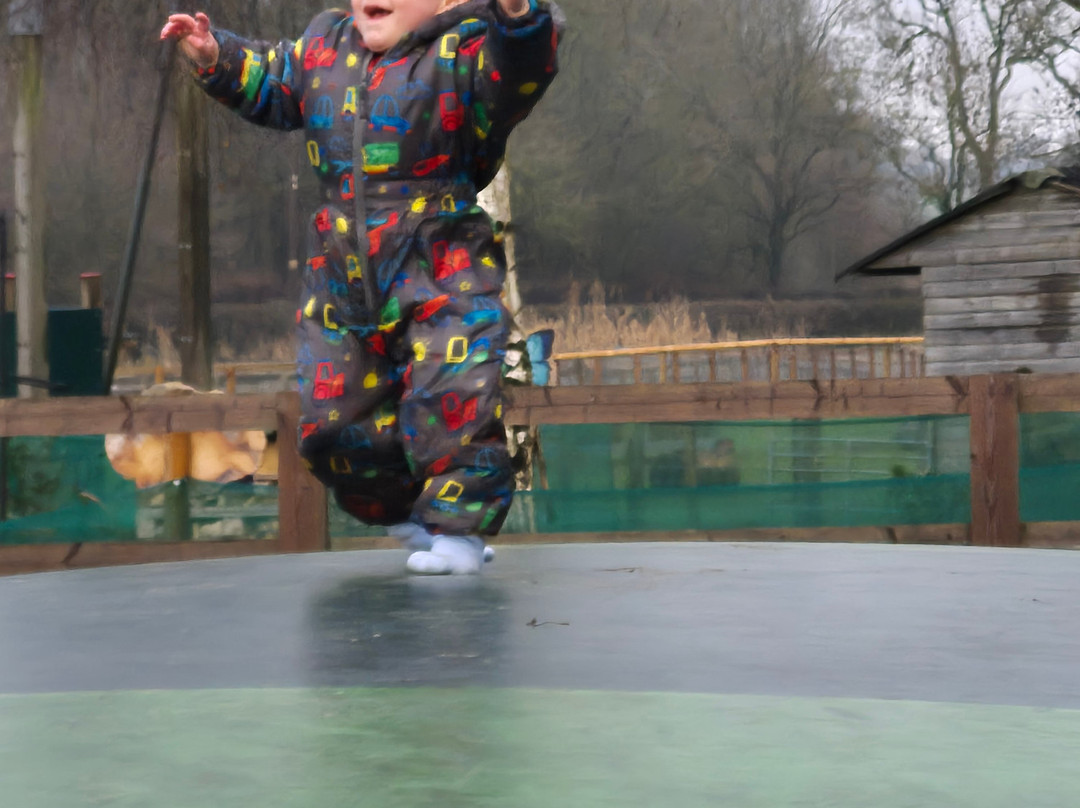 Thrift Farm-Whaddon必去景点