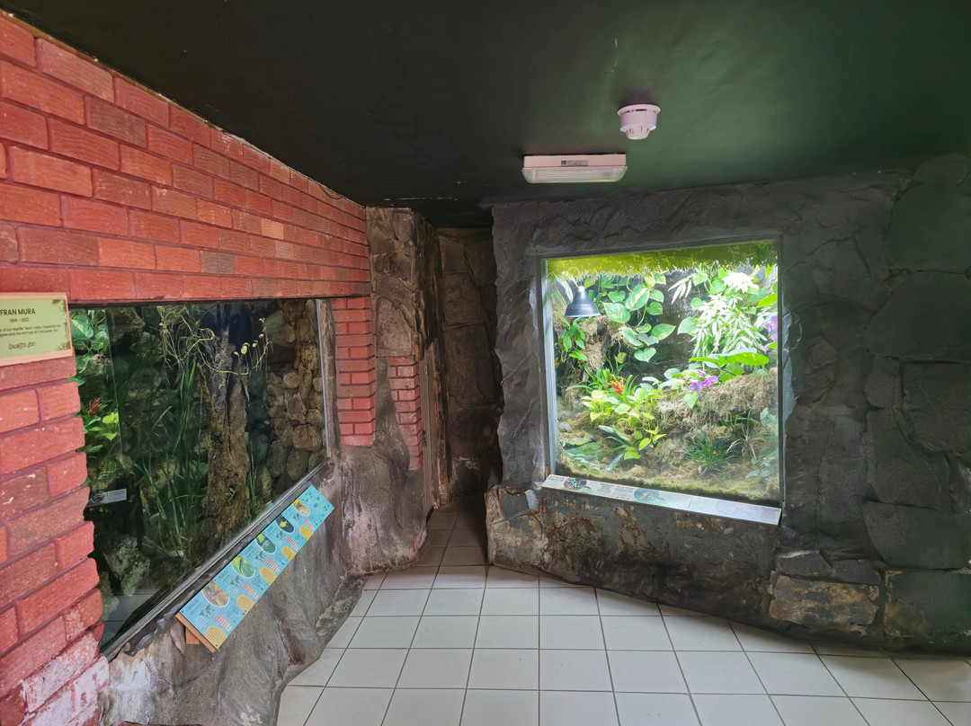 Colchester Zoo-科尔切斯特必去景点