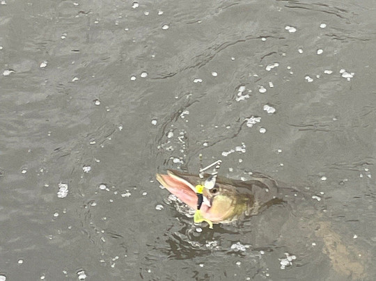 Echo Lake Park-里士满必去景点