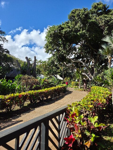 Exclusive Private Maui Tours & Transportation-毛伊岛必去景点