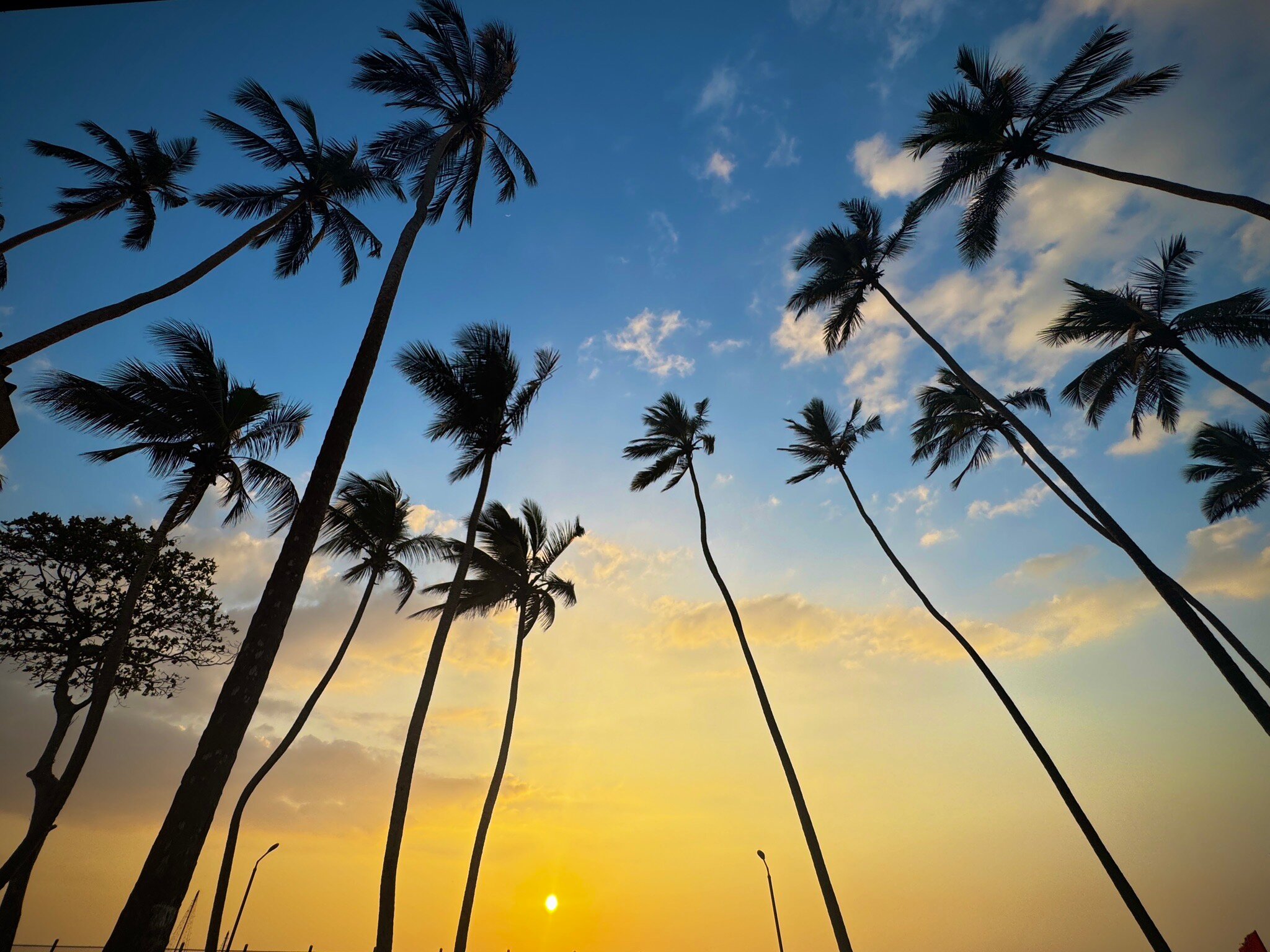 坦哲里恩海滩酒店-官方