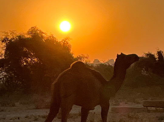 India Travel Tour Information-新德里必去景点