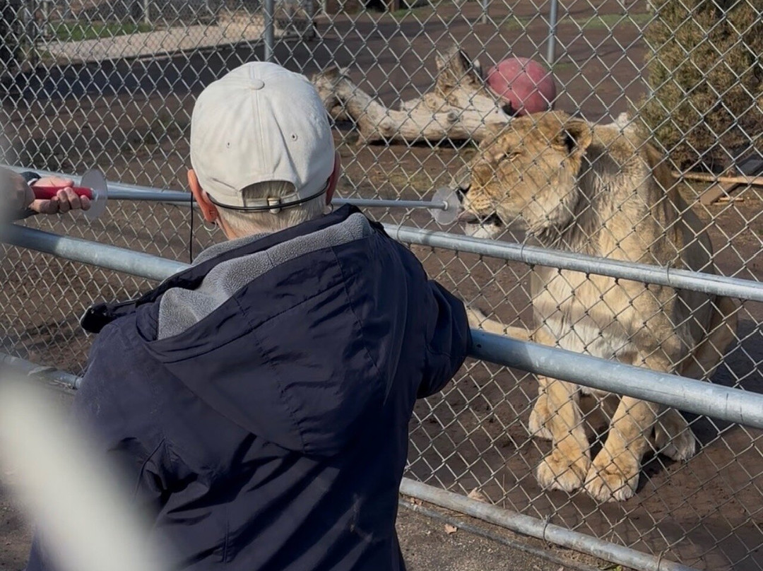 Lions, Tigers & Bears-Alpine必去景点