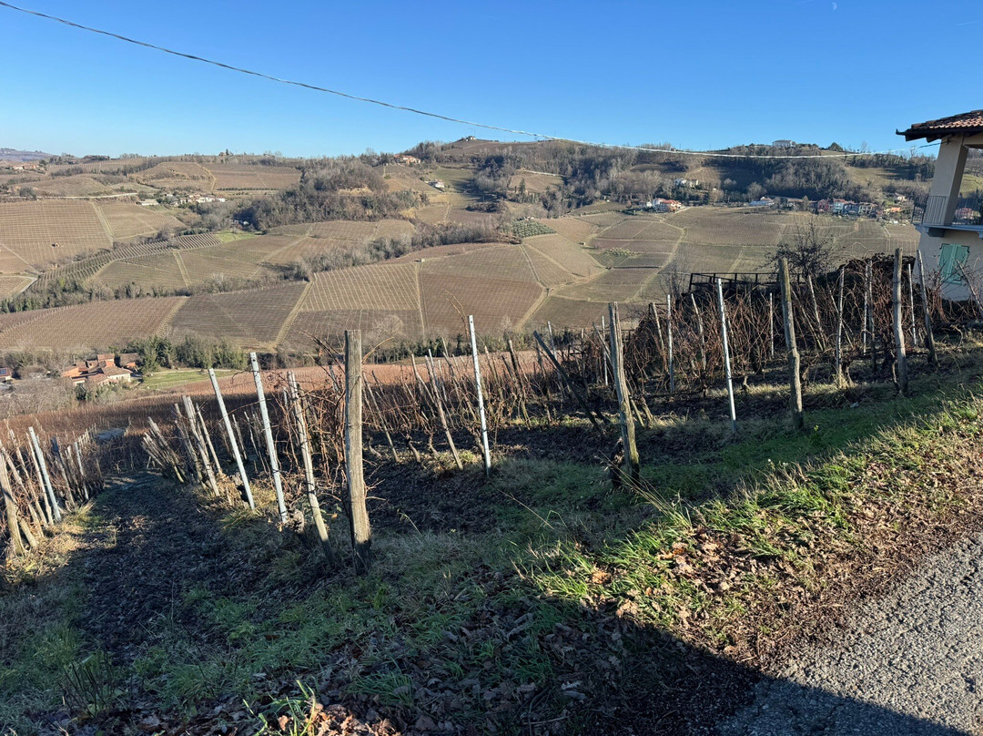 Cascina Sòt-蒙福特-达尔巴必去景点