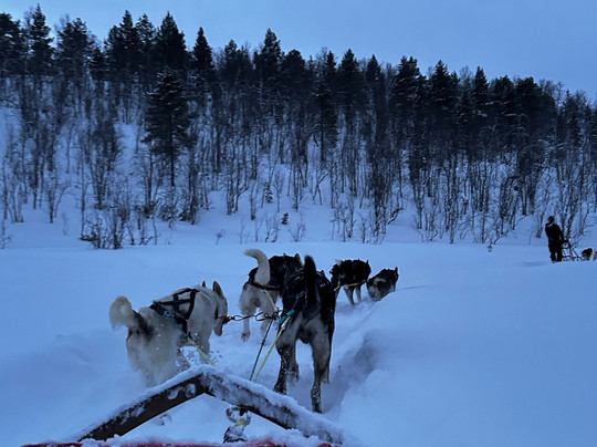 Into Nature-Meistervik必去景点