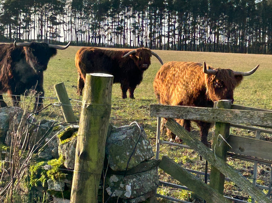 Newton Farm Holidays & Tours主图