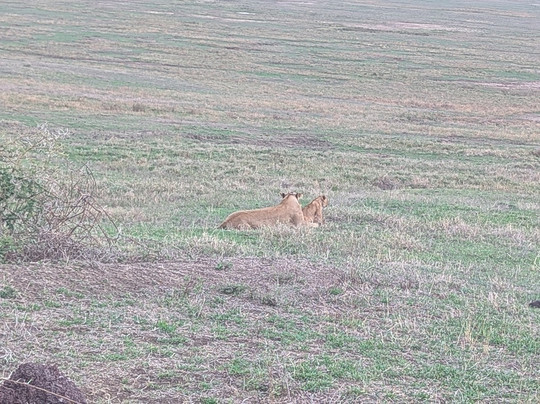 kindege Safaris-莫西必去景点