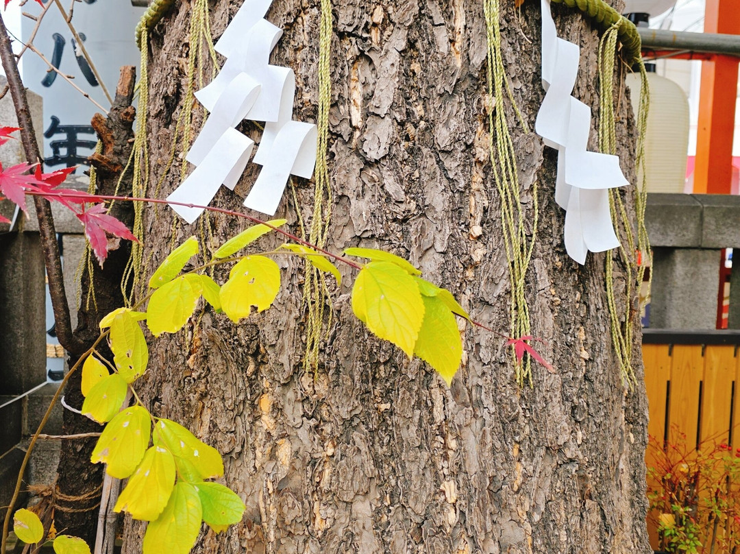 Namiyoke Inari Shrine-Tsukiji必去景点