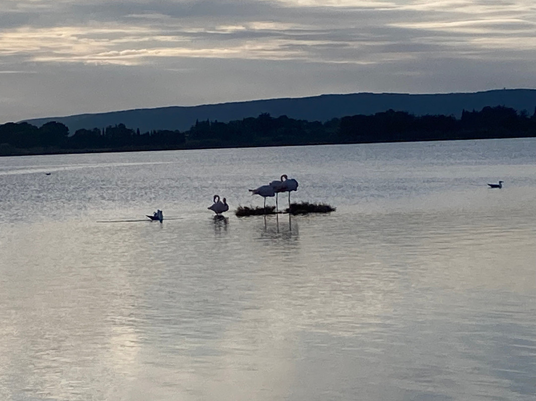 Cathédrale De Maguelone-Villeneuve-les-Maguelone必去景点