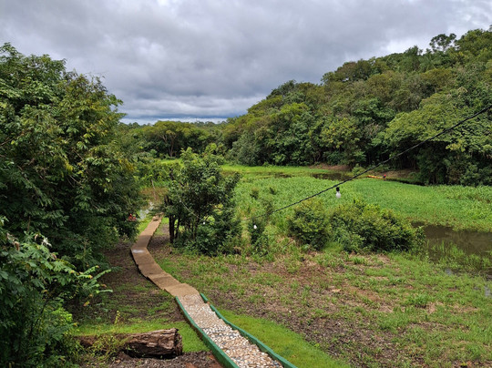 Amazonia Jungle Hotel主图