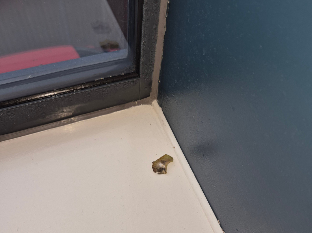 伊普斯维奇旅客之家酒店主图