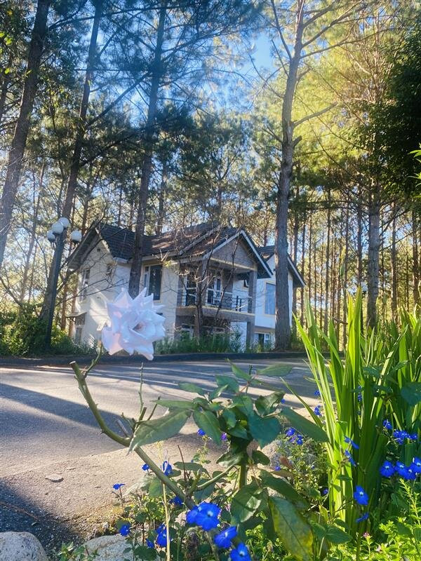 Sivananda Yoga Resort And Training Center-大勒必去景点