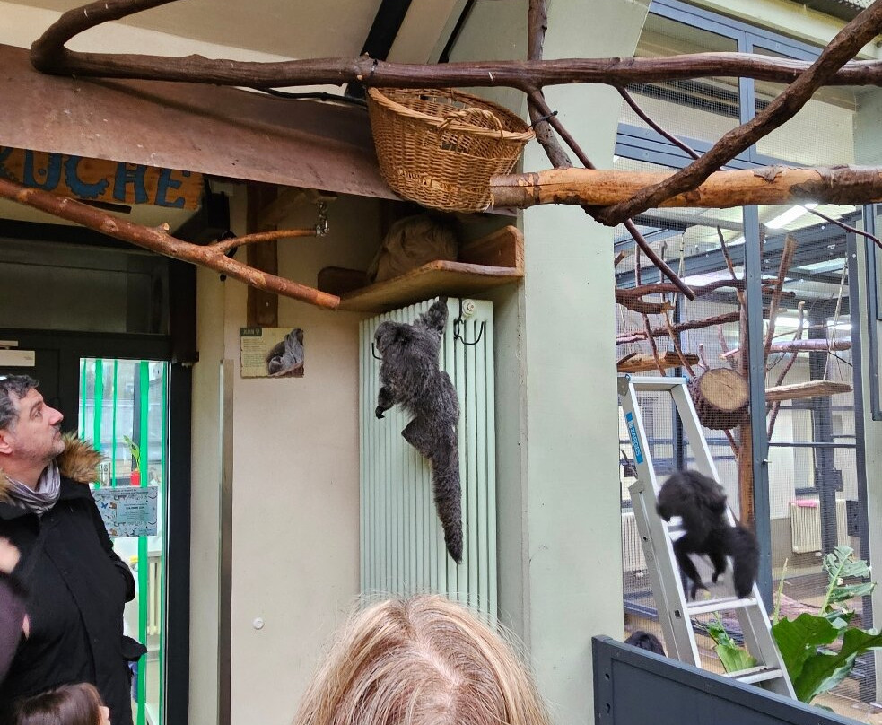 科隆动物园-科隆必去景点