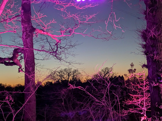 Tulleys-Turners Hill必去景点