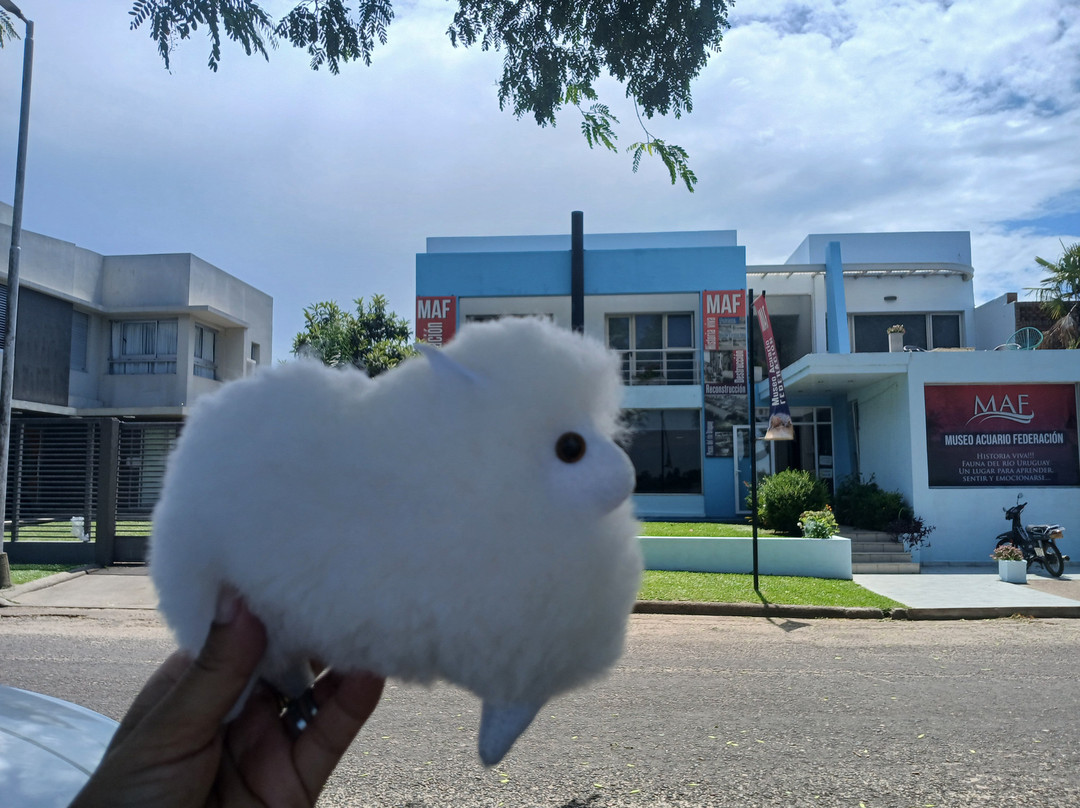 Museo Acuario Federacion-Federación必去景点
