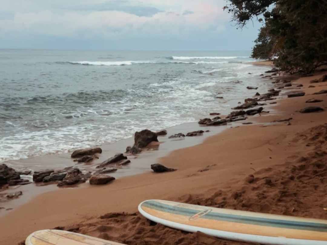 Surfing Lessons Puerto Rico-吕康必去景点