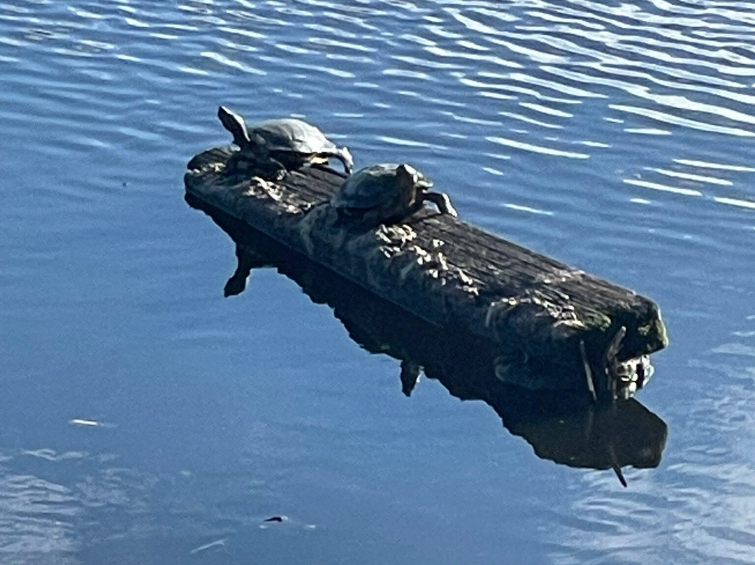 Juanita Bay Park-柯克兰必去景点