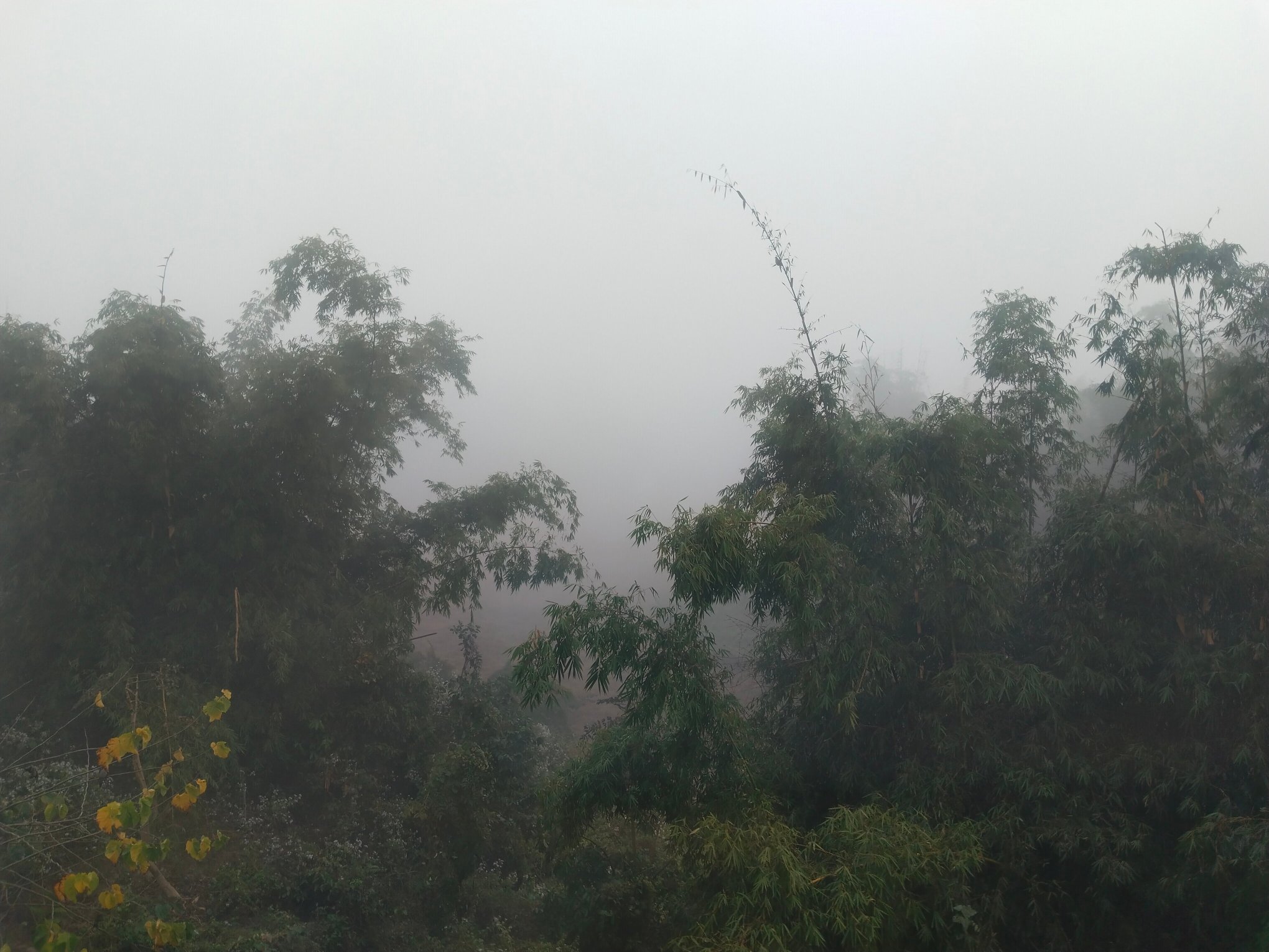 Summit Green Village Lake Resort & Spa-酒店景观