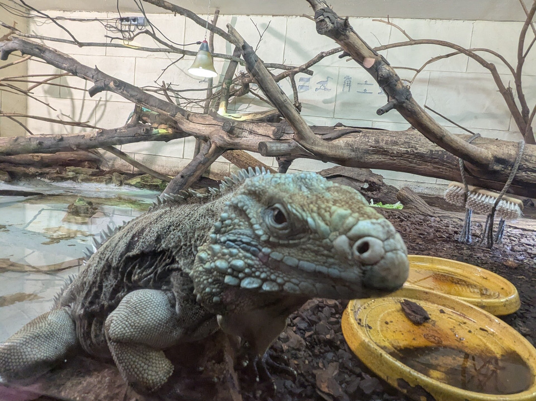 Les Terres De Nataé-Pont-Scorff必去景点