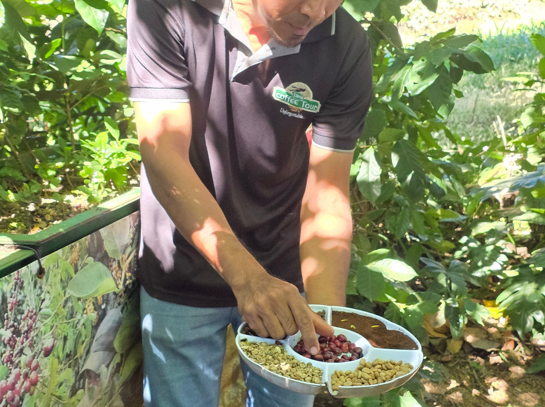 Tour Guanacaste-波特雷罗必去景点