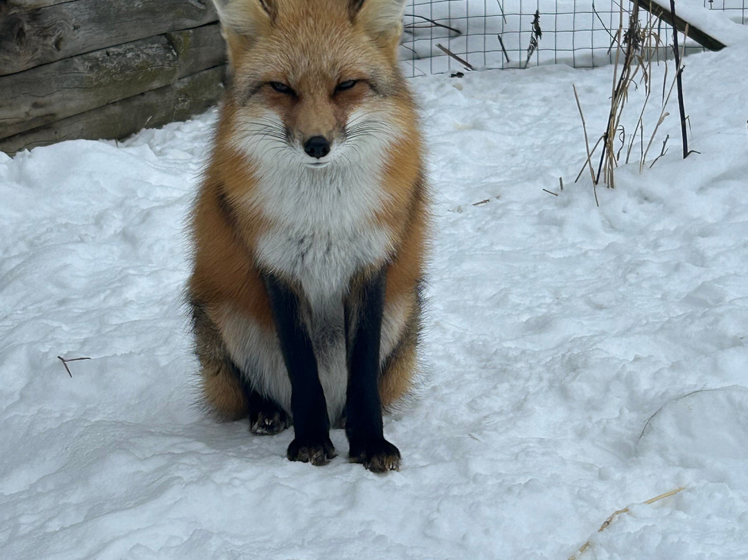CineZoo-Sainte-Anne-de-la-Rochelle必去景点