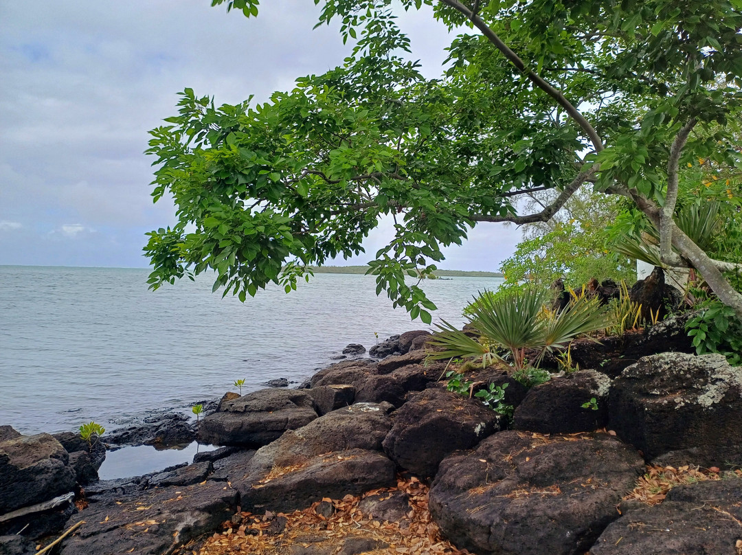Sea Kayak Adventures-毛里求斯必去景点