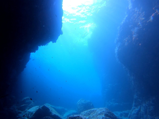 Divewithus.bcs-拉巴斯必去景点