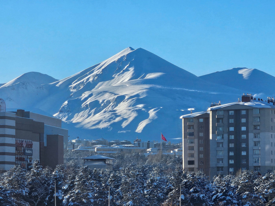 Hilton Garden Inn Erzurum主图