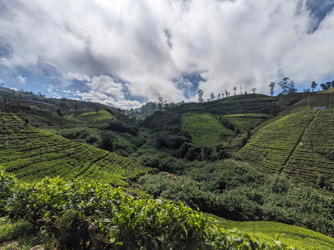 Rk tours (travel with ragu) nanuoya