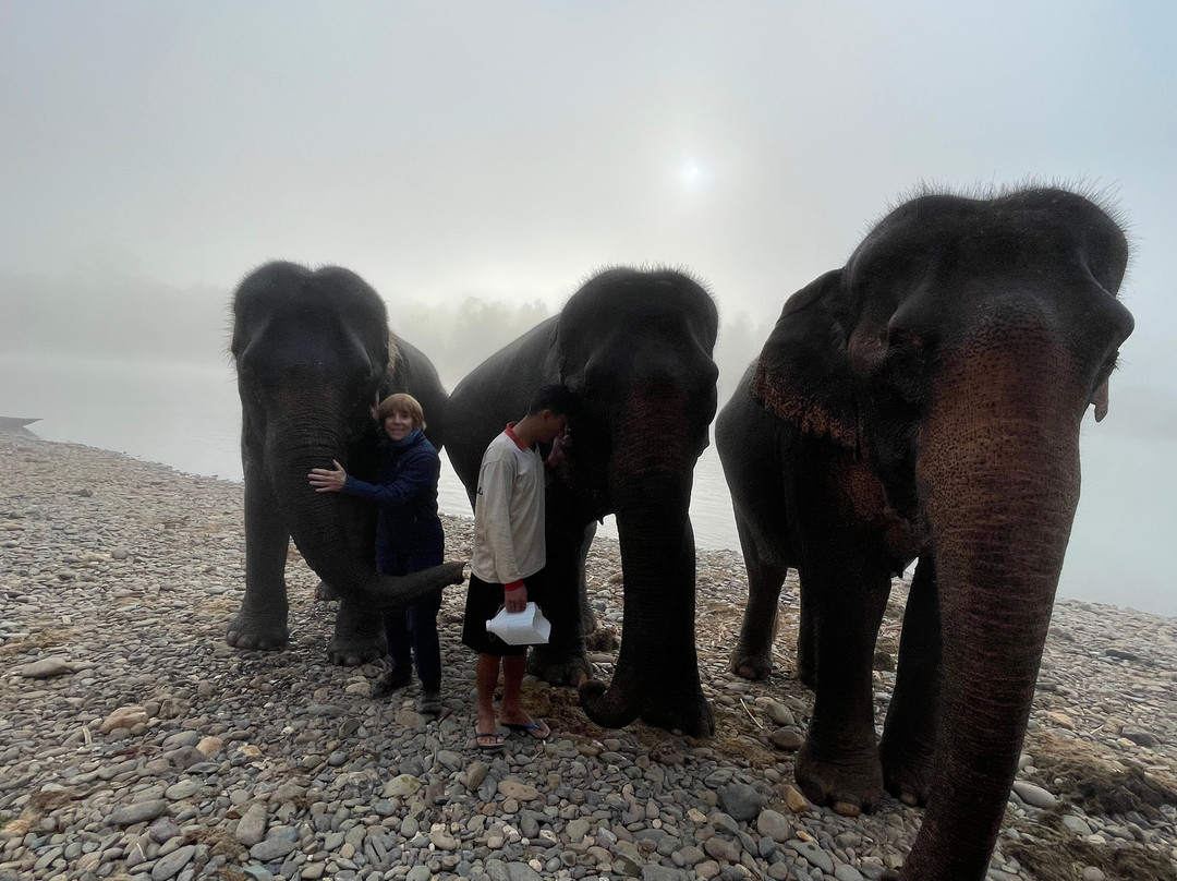 Elephant Village Sanctuary & Resort-琅勃拉邦必去景点
